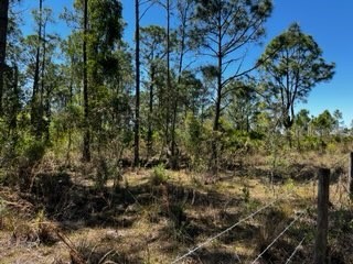 5151 Chiquita Drive Punta Gorda FL 33982 C7510636 image21