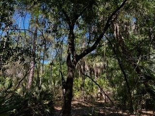 5151 Chiquita Drive Punta Gorda FL 33982 C7510636 image22