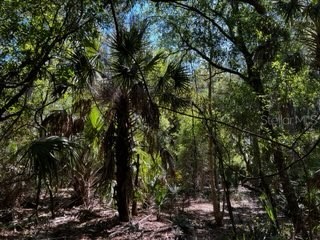 5151 Chiquita Drive Punta Gorda FL 33982 C7510636 image23