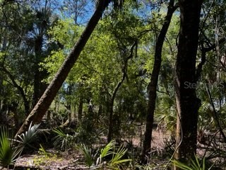 5151 Chiquita Drive Punta Gorda FL 33982 C7510636 image24