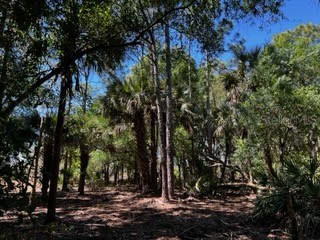 5151 Chiquita Drive Punta Gorda FL 33982 C7510636 image25