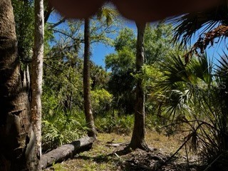 5151 Chiquita Drive Punta Gorda FL 33982 C7510636 image27