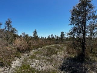 5151 Chiquita Drive Punta Gorda FL 33982 C7510636 image28