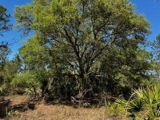 5151 Chiquita Drive Punta Gorda FL 33982 C7510636 image29