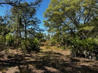 5151 Chiquita Drive Punta Gorda FL 33982 C7510636 image30