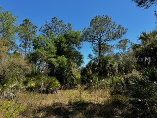 5151 Chiquita Drive Punta Gorda FL 33982 C7510636 image31