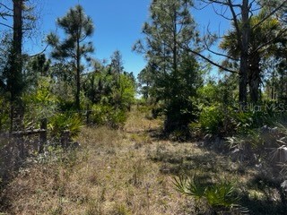 5151 Chiquita Drive Punta Gorda FL 33982 C7510636 image33