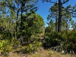 5151 Chiquita Drive Punta Gorda FL 33982 C7510636 image34