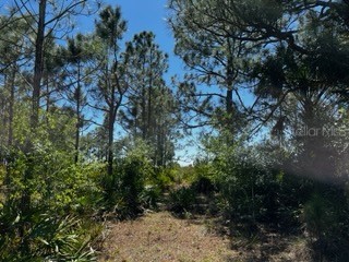 5151 Chiquita Drive Punta Gorda FL 33982 C7510636 image35