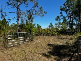 5151 Chiquita Drive Punta Gorda FL 33982 C7510636 image36