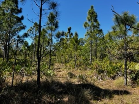 5151 Chiquita Drive Punta Gorda FL 33982 C7510636 image37