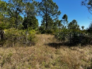 5151 Chiquita Drive Punta Gorda FL 33982 C7510636 image38