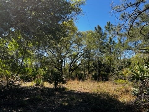 5151 Chiquita Drive Punta Gorda FL 33982 C7510636 image39