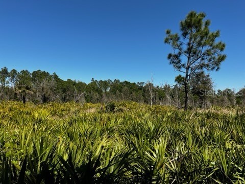 5151 Chiquita Drive Punta Gorda FL 33982 C7510636 image40