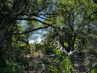 5151 Chiquita Drive Punta Gorda FL 33982 C7510636 image41