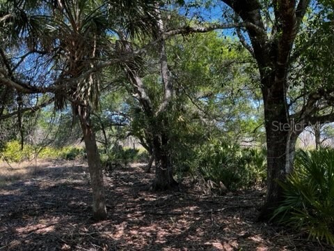 5151 Chiquita Drive Punta Gorda FL 33982 C7510636 image42