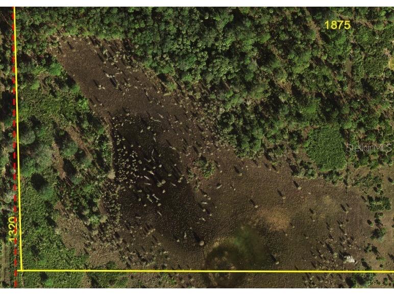 5151 Chiquita Drive Punta Gorda FL 33982 C7510636 image5