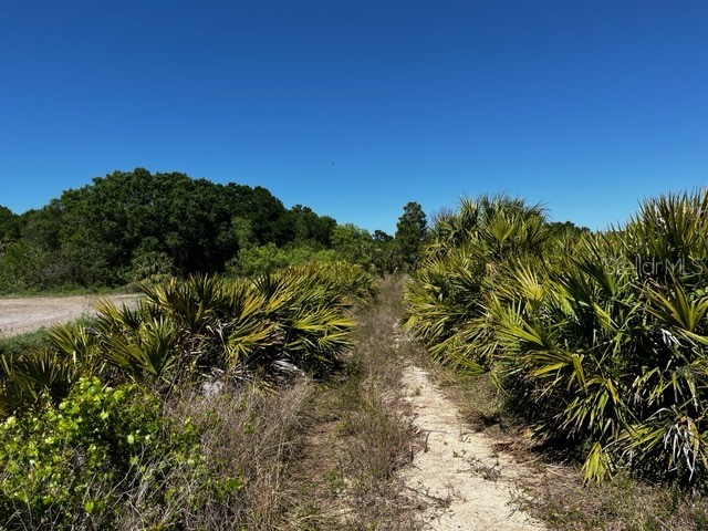 5151 Chiquita Drive Punta Gorda FL 33982 C7510636 image7