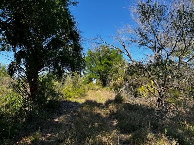 5151 Chiquita Drive Punta Gorda FL 33982 C7510636 image8