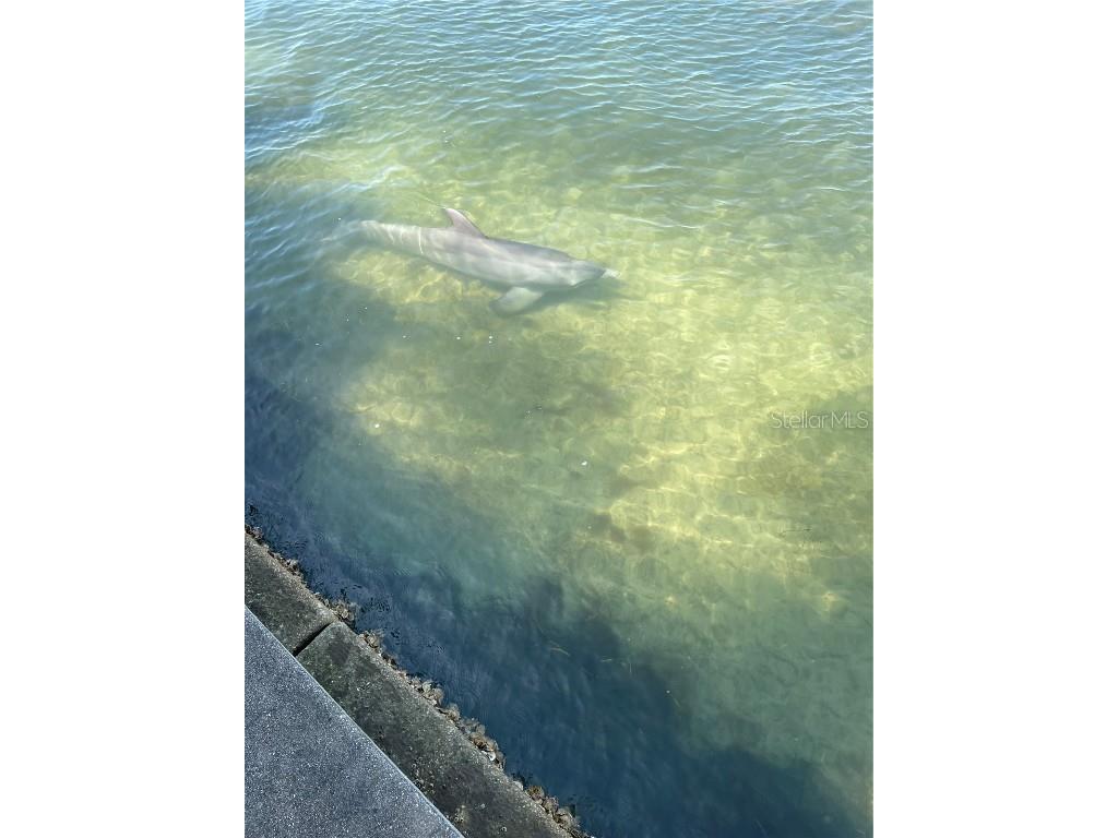 5151 Isla Key Boulevard S #220 Saint Petersburg FL 33715 - BOCA CIEGA BAY TB8405480 image44