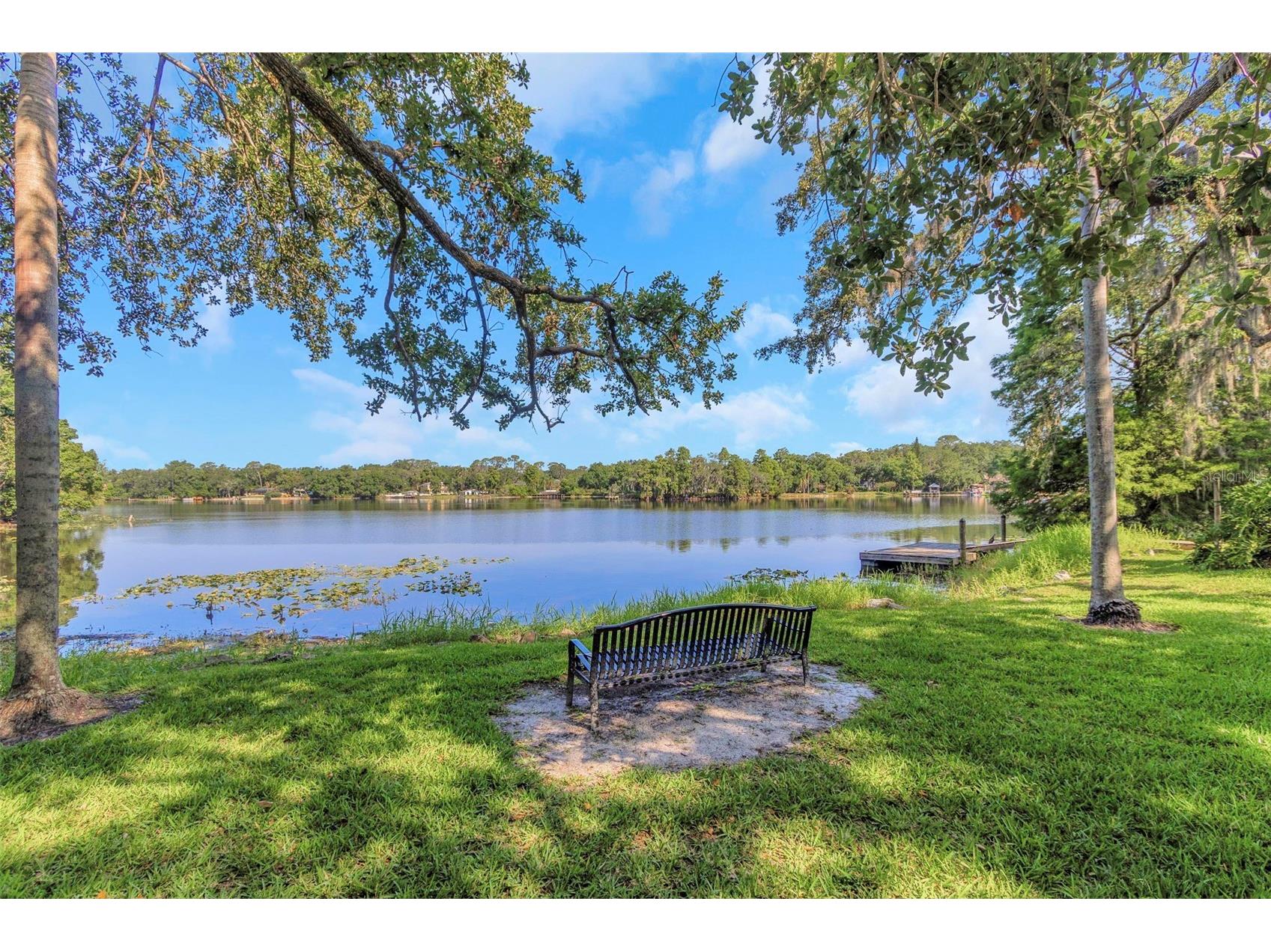 5151 Puritan Circle #1022 Tampa FL 33617 S5127154 image45