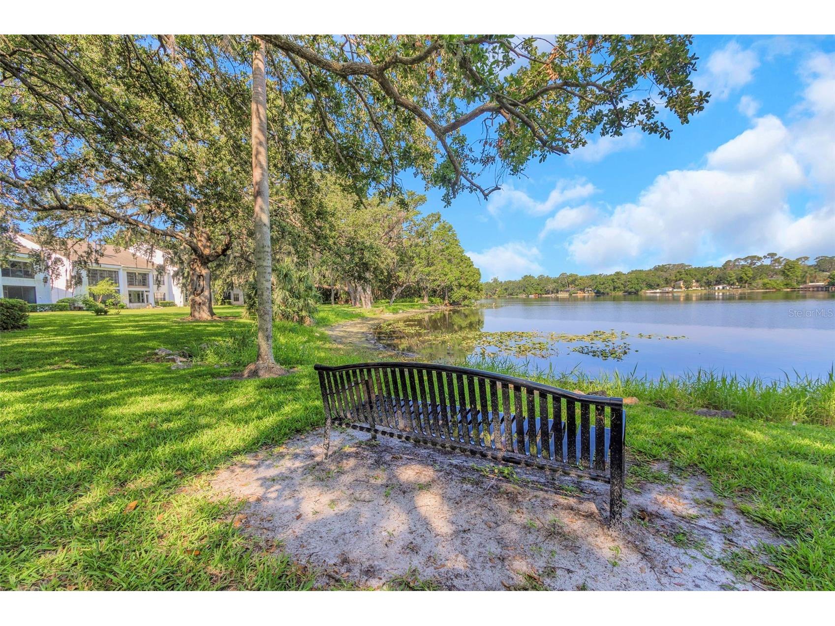 5151 Puritan Circle #1022 Tampa FL 33617 S5127154 image47