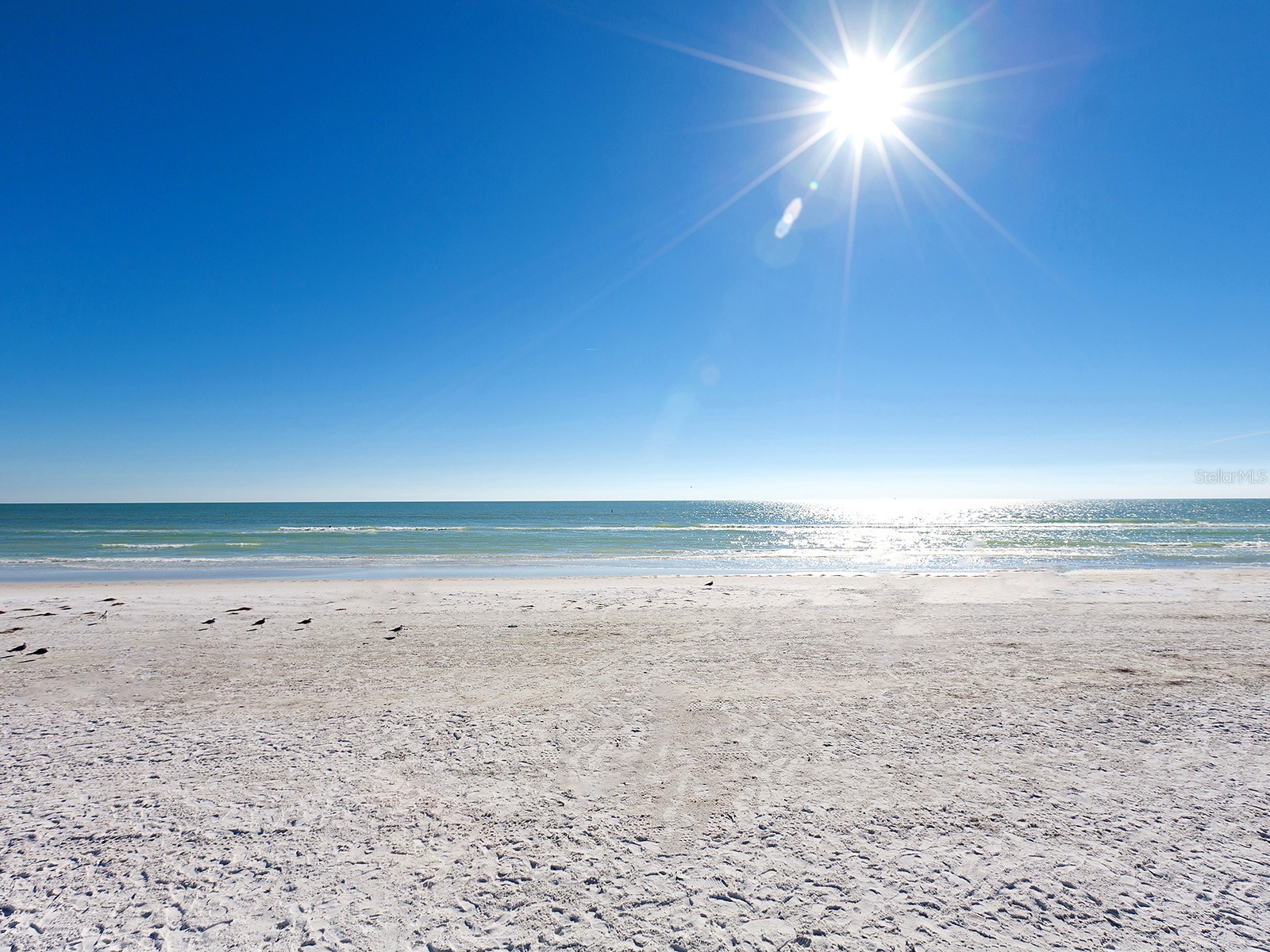5151 Saint Albans Avenue Sarasota FL 34242 A4666929 image37