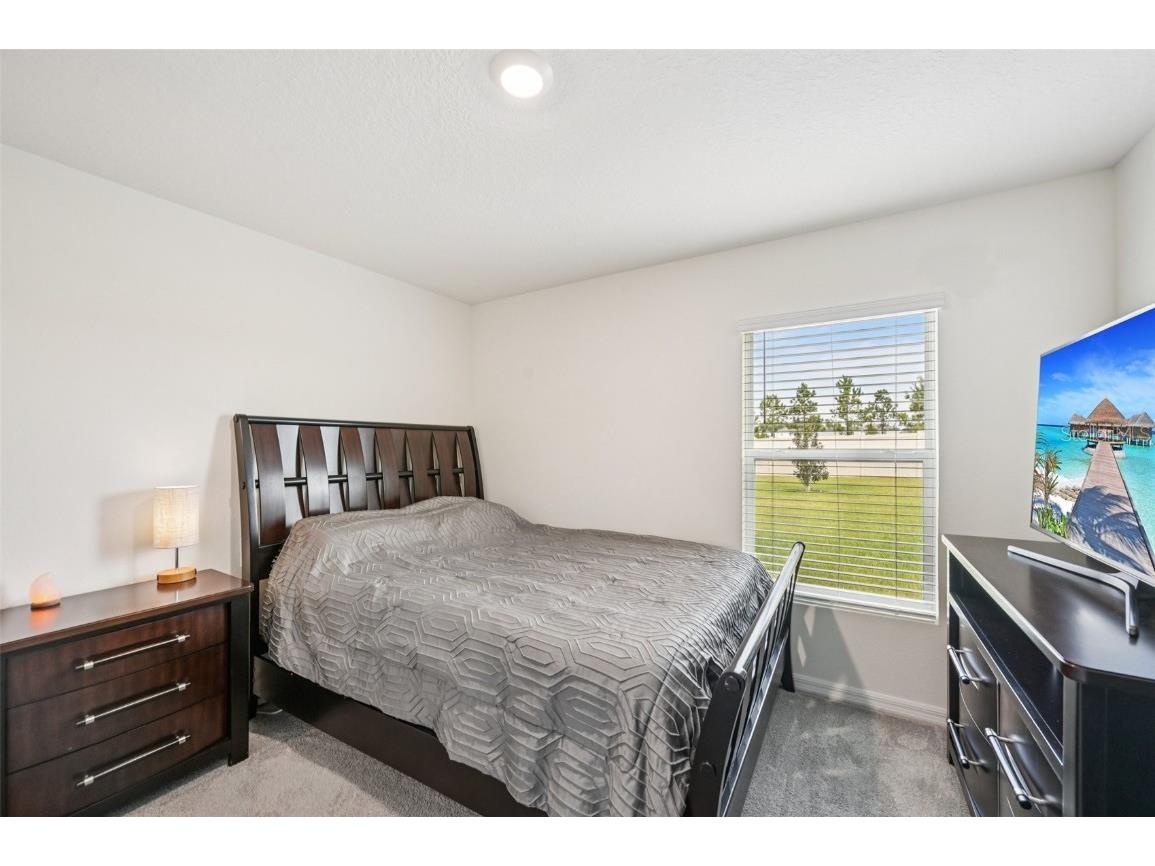 5152 Plumeria Drive Wimauma FL 33598 TB8438124 image12