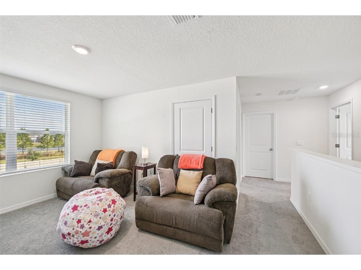 5152 Plumeria Drive Wimauma FL 33598 TB8438124 image15