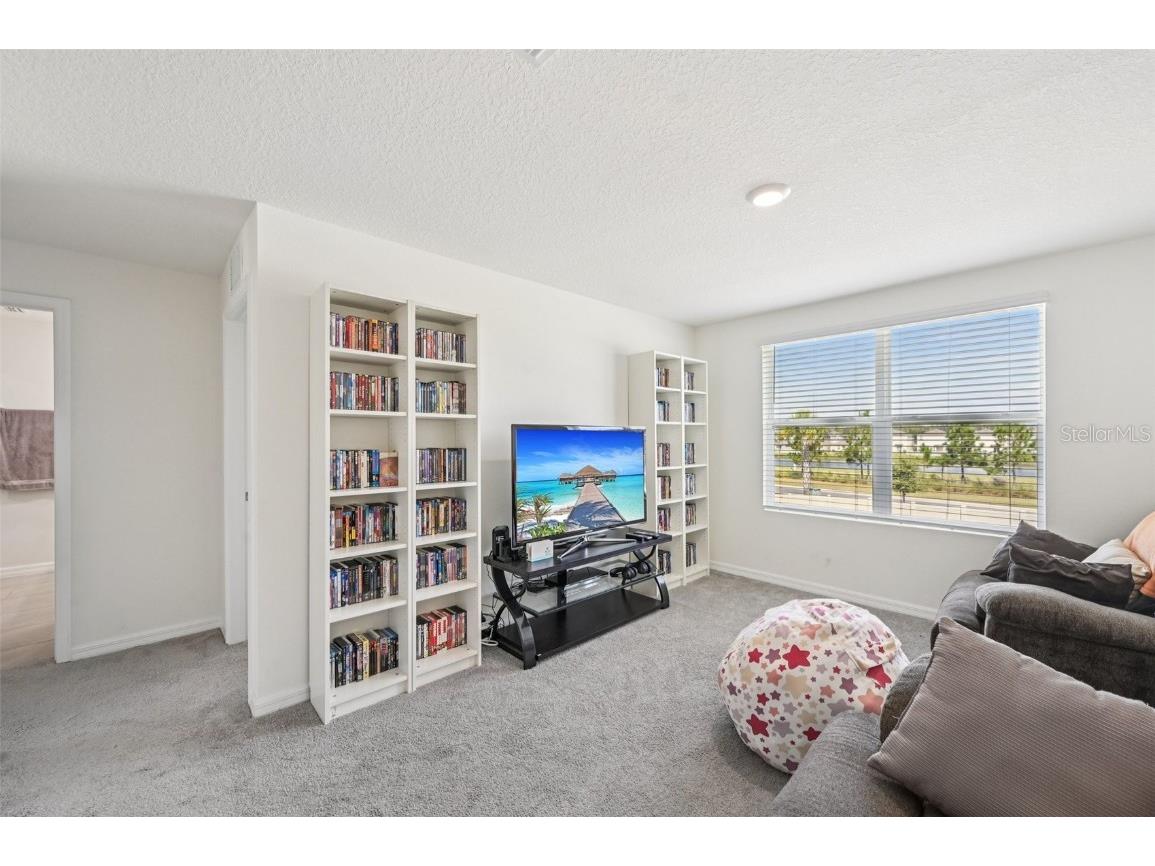 5152 Plumeria Drive Wimauma FL 33598 TB8438124 image16