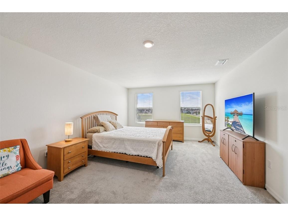 5152 Plumeria Drive Wimauma FL 33598 TB8438124 image17