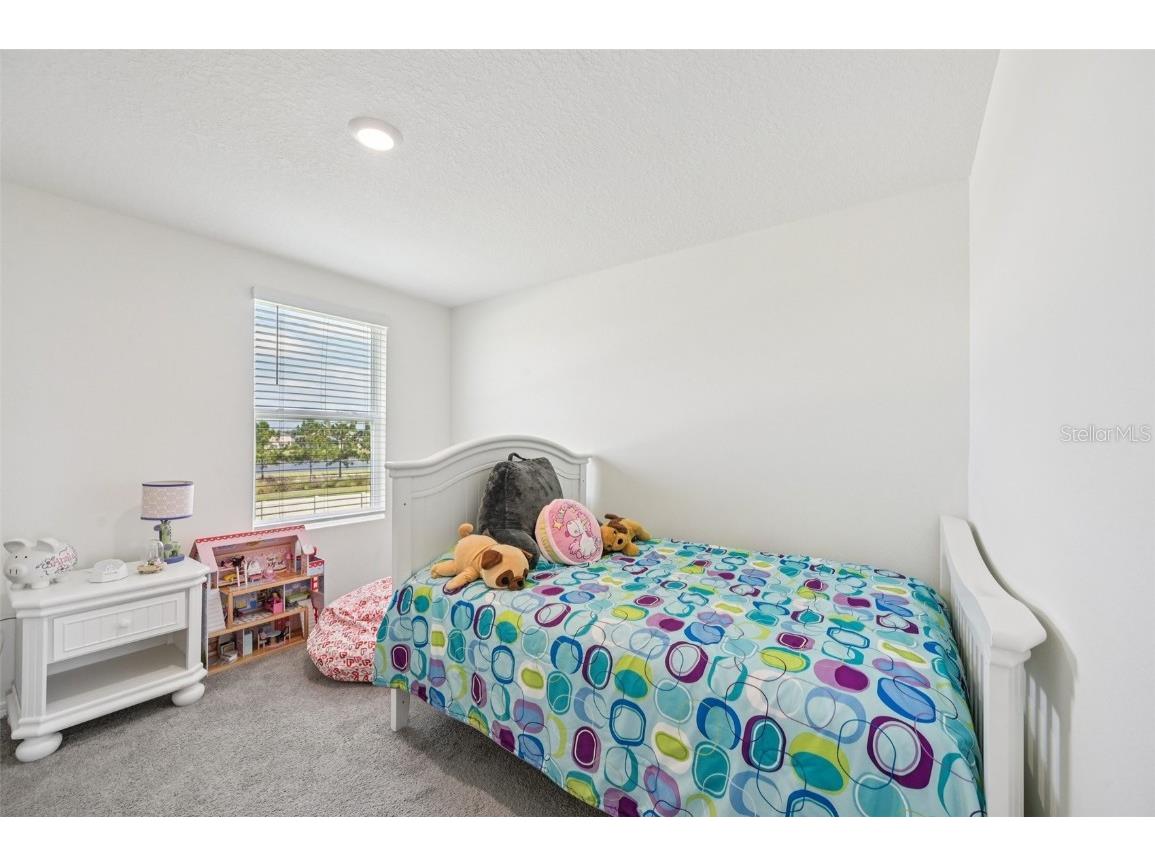 5152 Plumeria Drive Wimauma FL 33598 TB8438124 image21