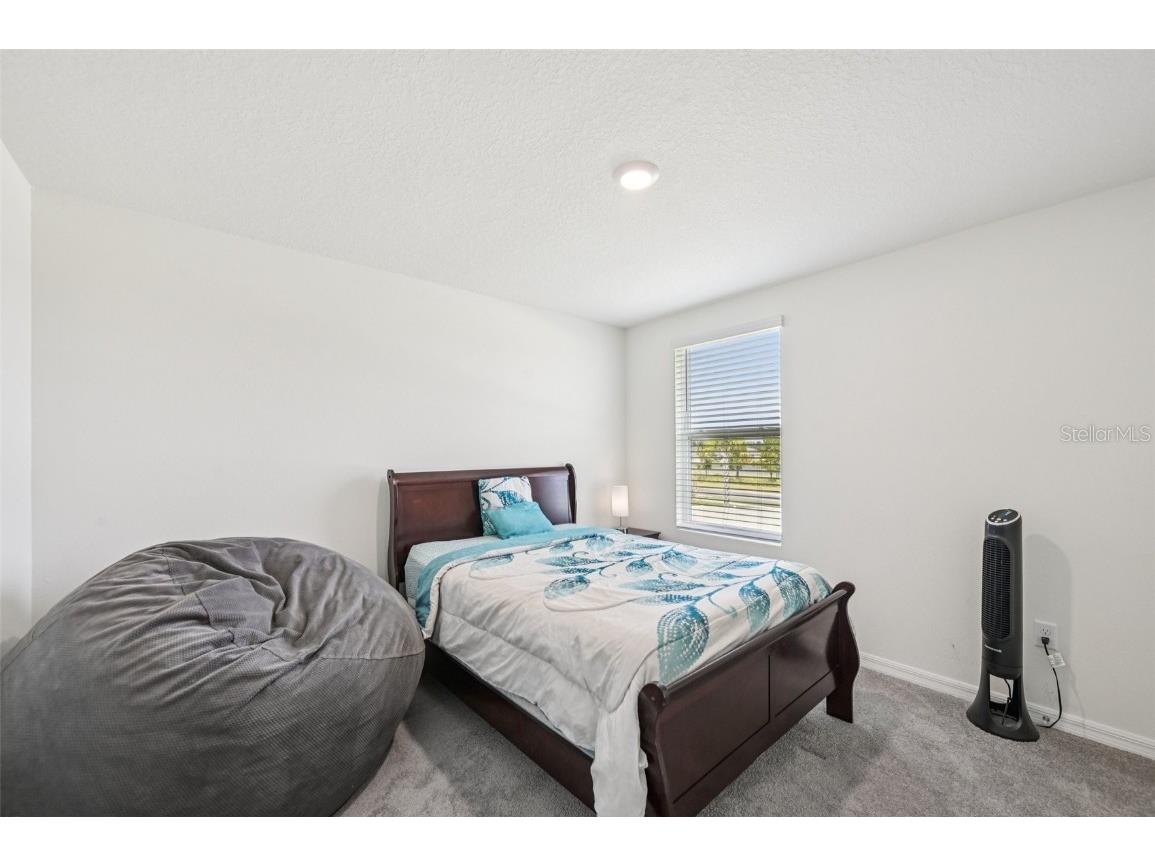 5152 Plumeria Drive Wimauma FL 33598 TB8438124 image22