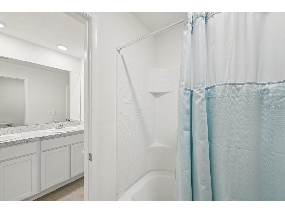 5152 Plumeria Drive Wimauma FL 33598 TB8438124 image23