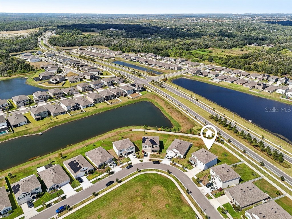 5152 Plumeria Drive Wimauma FL 33598 TB8438124 image29