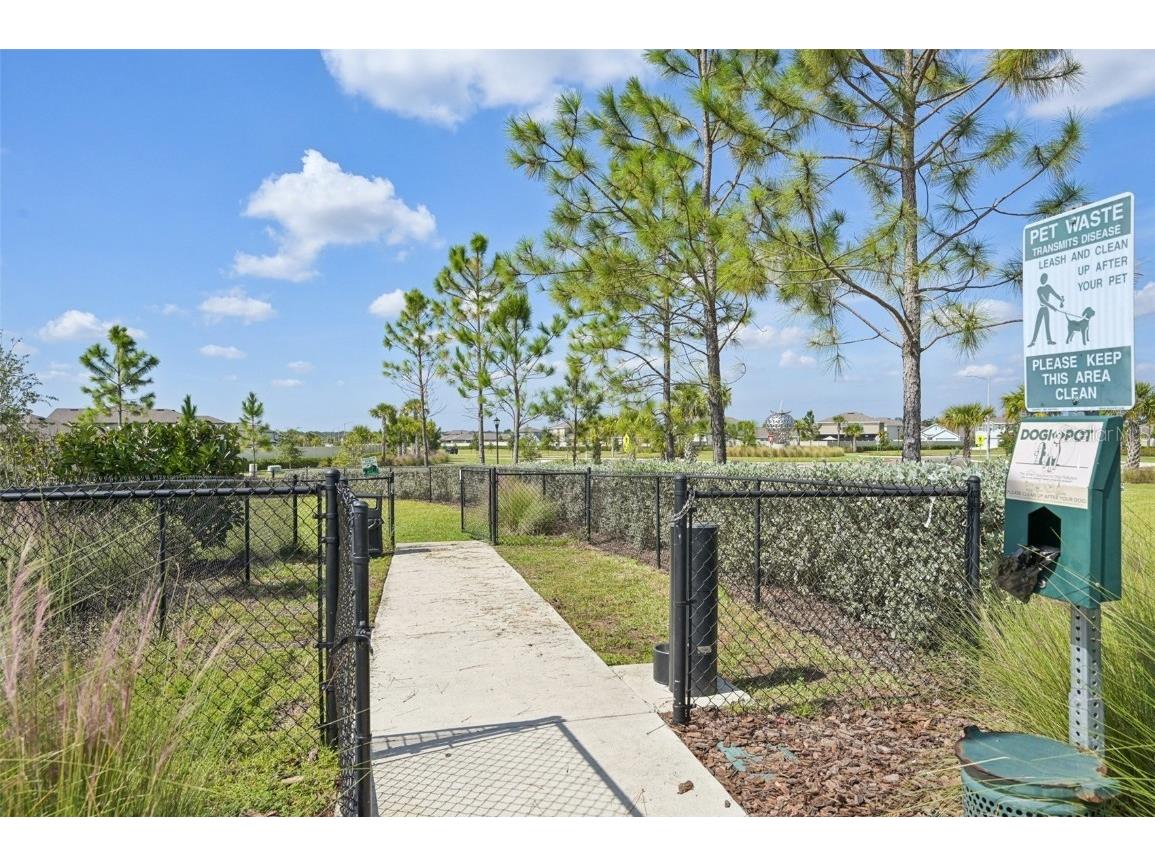 5152 Plumeria Drive Wimauma FL 33598 TB8438124 image33