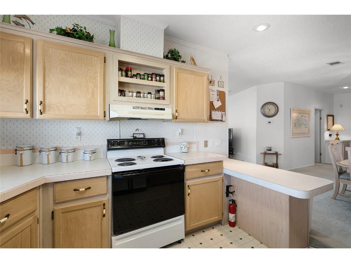 5153 Island View Circle S Polk City FL 33868 P4934531 image25