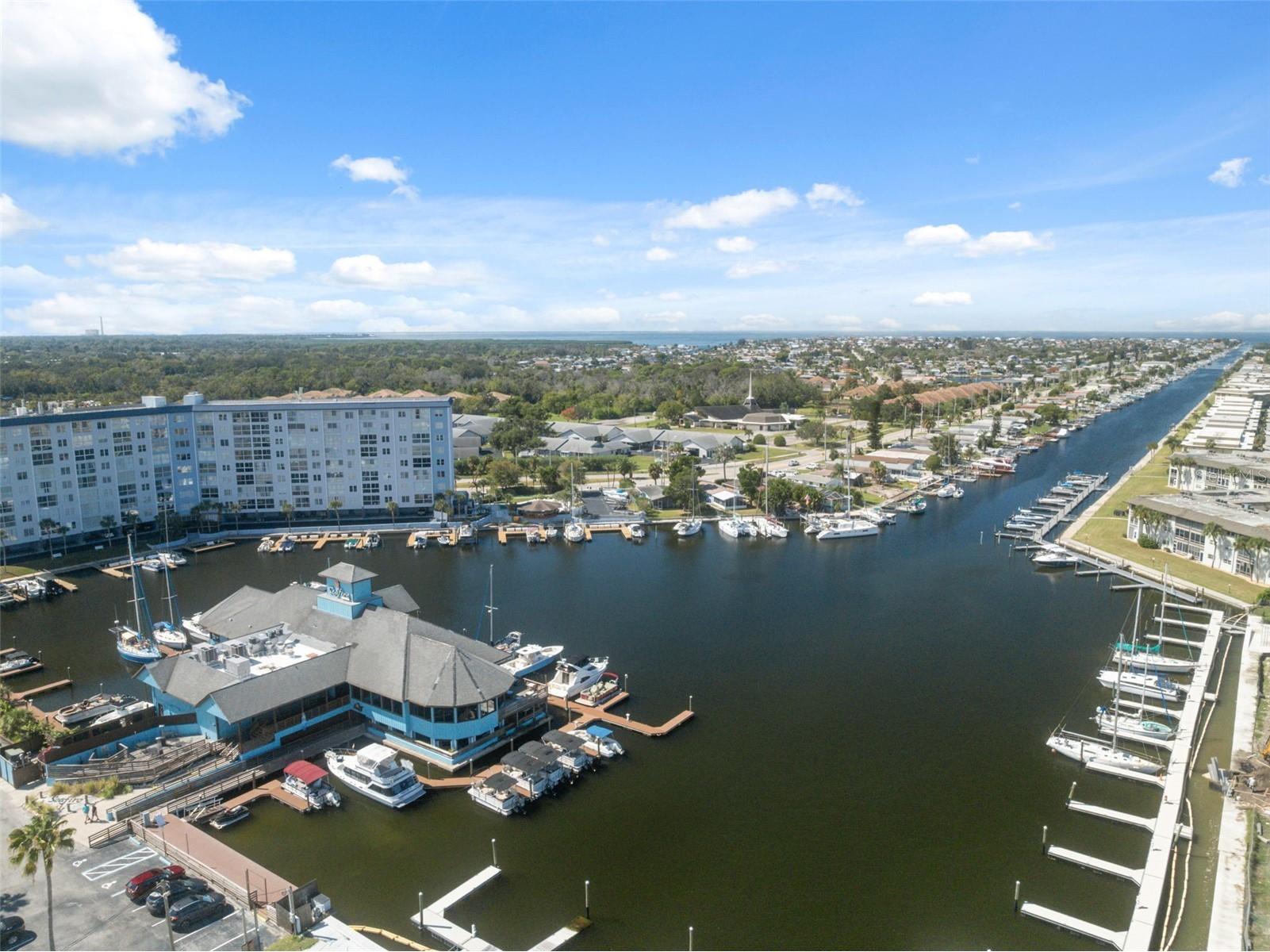 5153 Turquoise Lane #102 New Port Richey FL 34652 TB8472375 image40