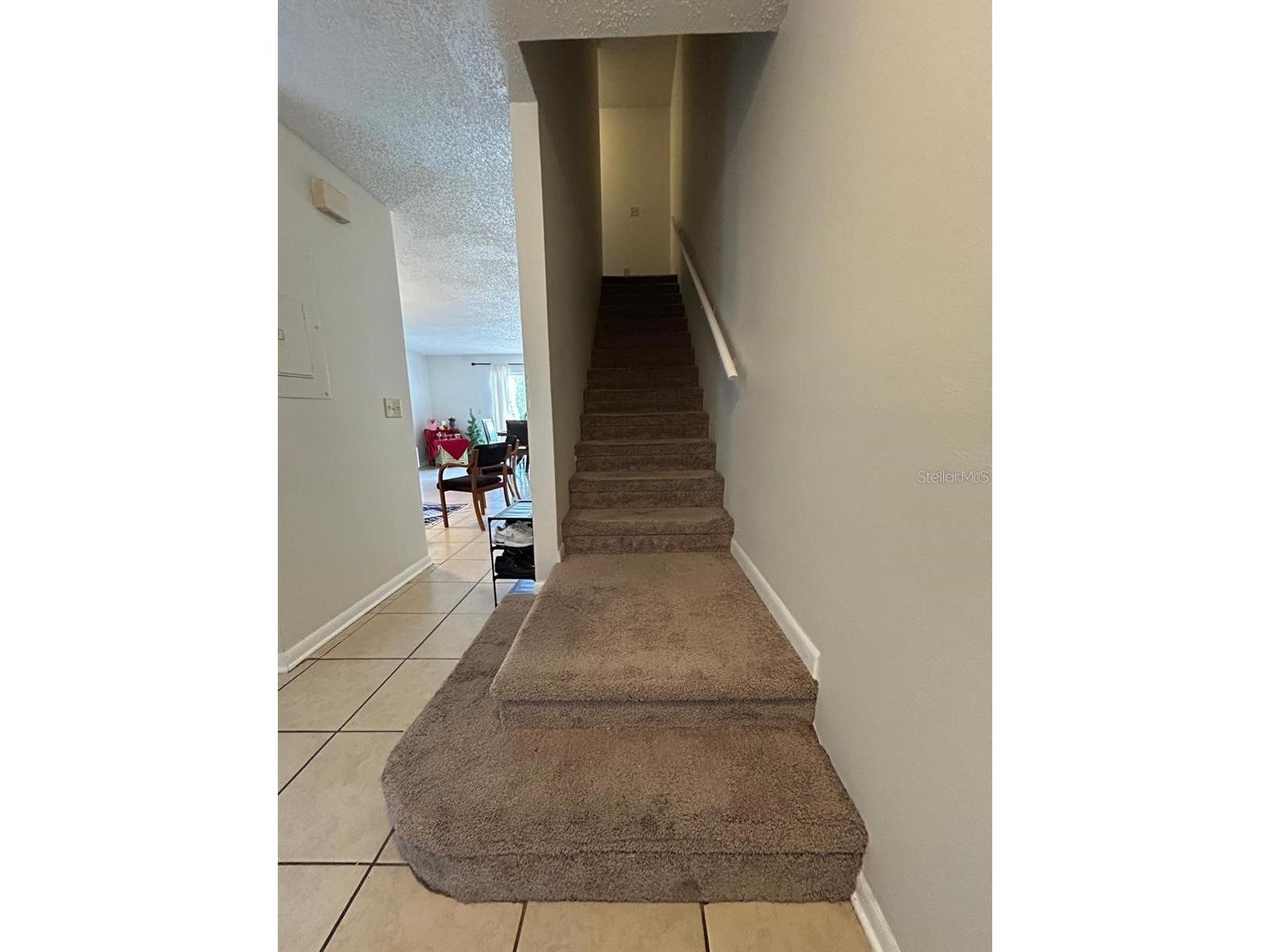 5154 Sunridge Palms Drive #5154 Tampa FL 33617 TB8514092 image6