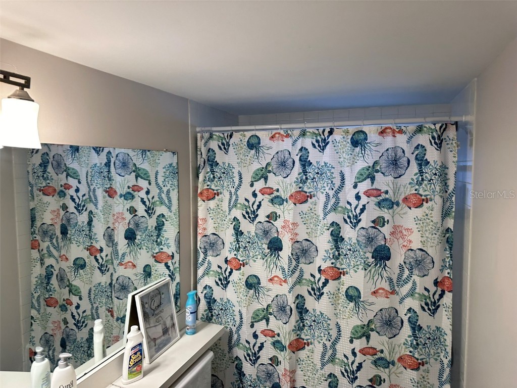 5154 Turquoise Lane #206 New Port Richey FL 34652 O6240047 image40