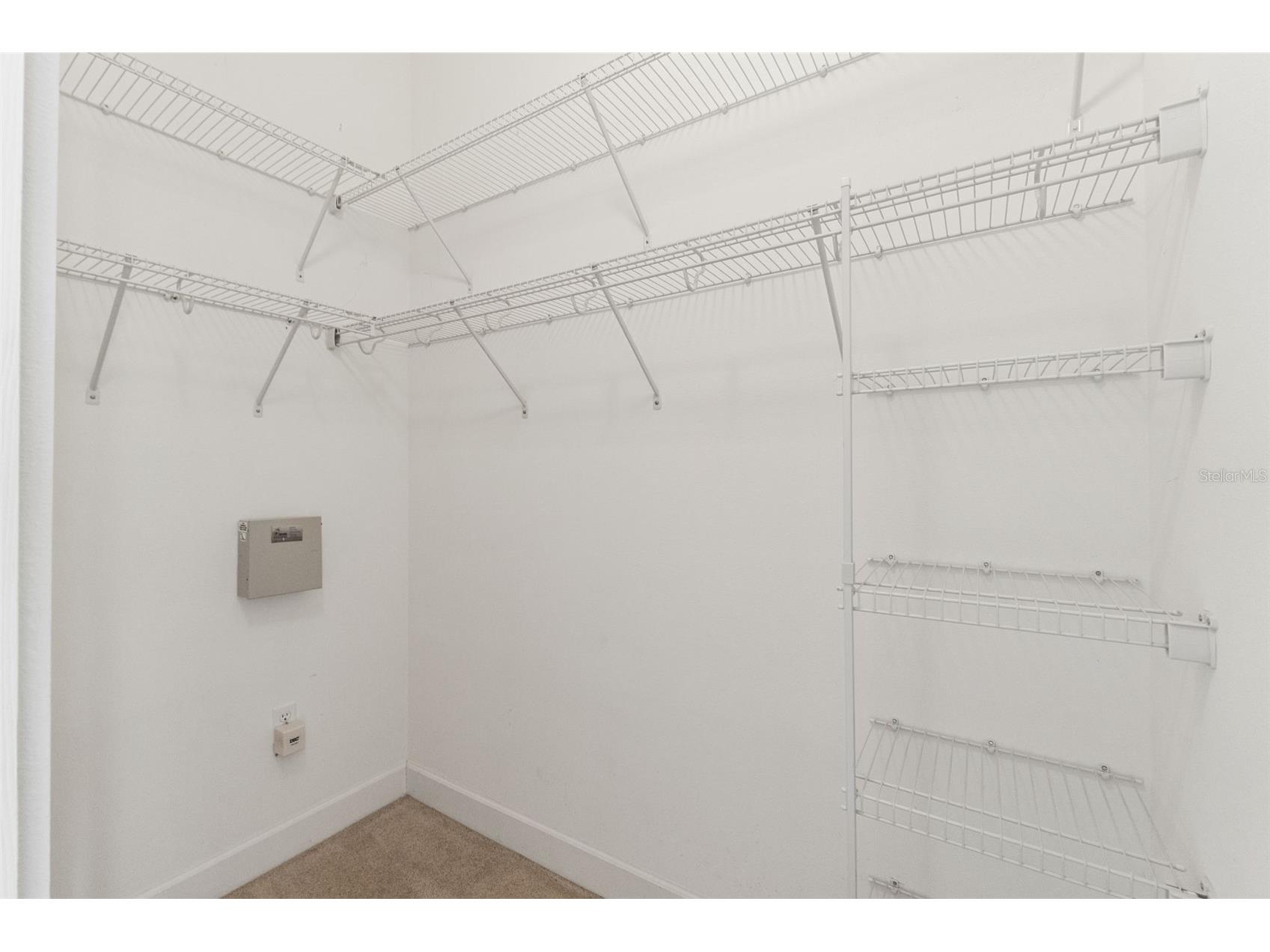 5155 Brackenwood Drive Spring Hill FL 34609 TB8504873 image12