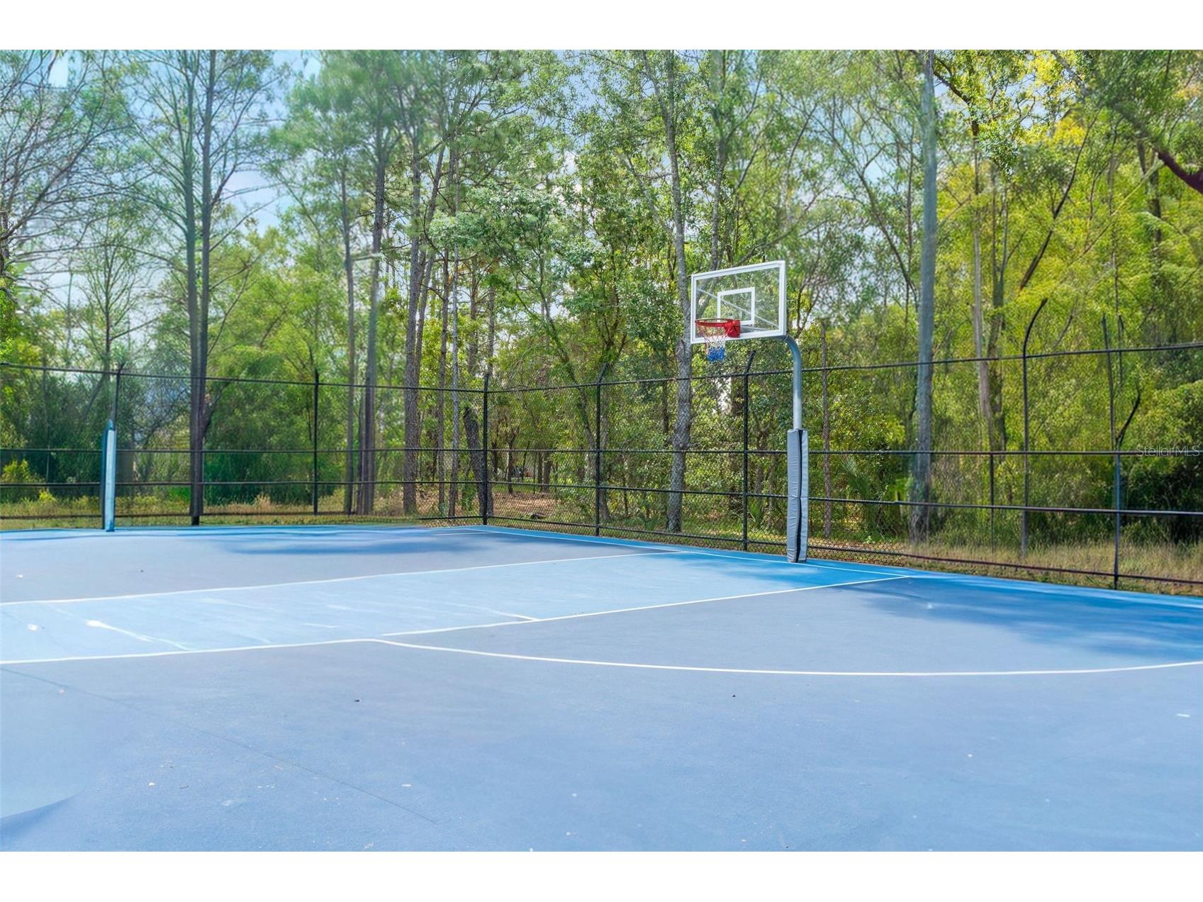 5155 Brackenwood Drive Spring Hill FL 34609 TB8504873 image62