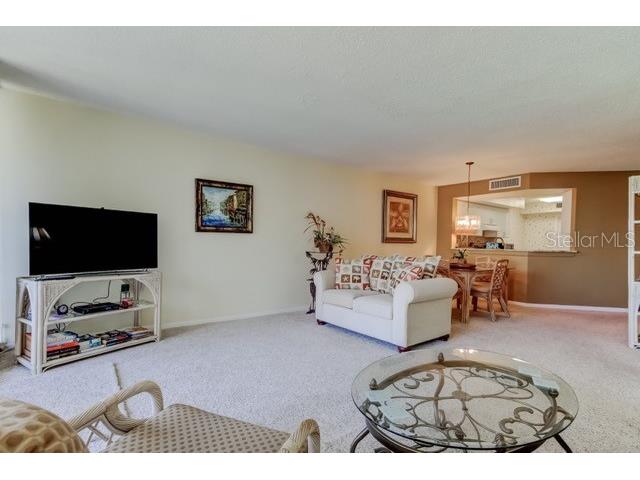 5155 Isla Key Boulevard S #301 Saint Petersburg FL 33715 - BOCA CIEGA BAY TB8485024 image7