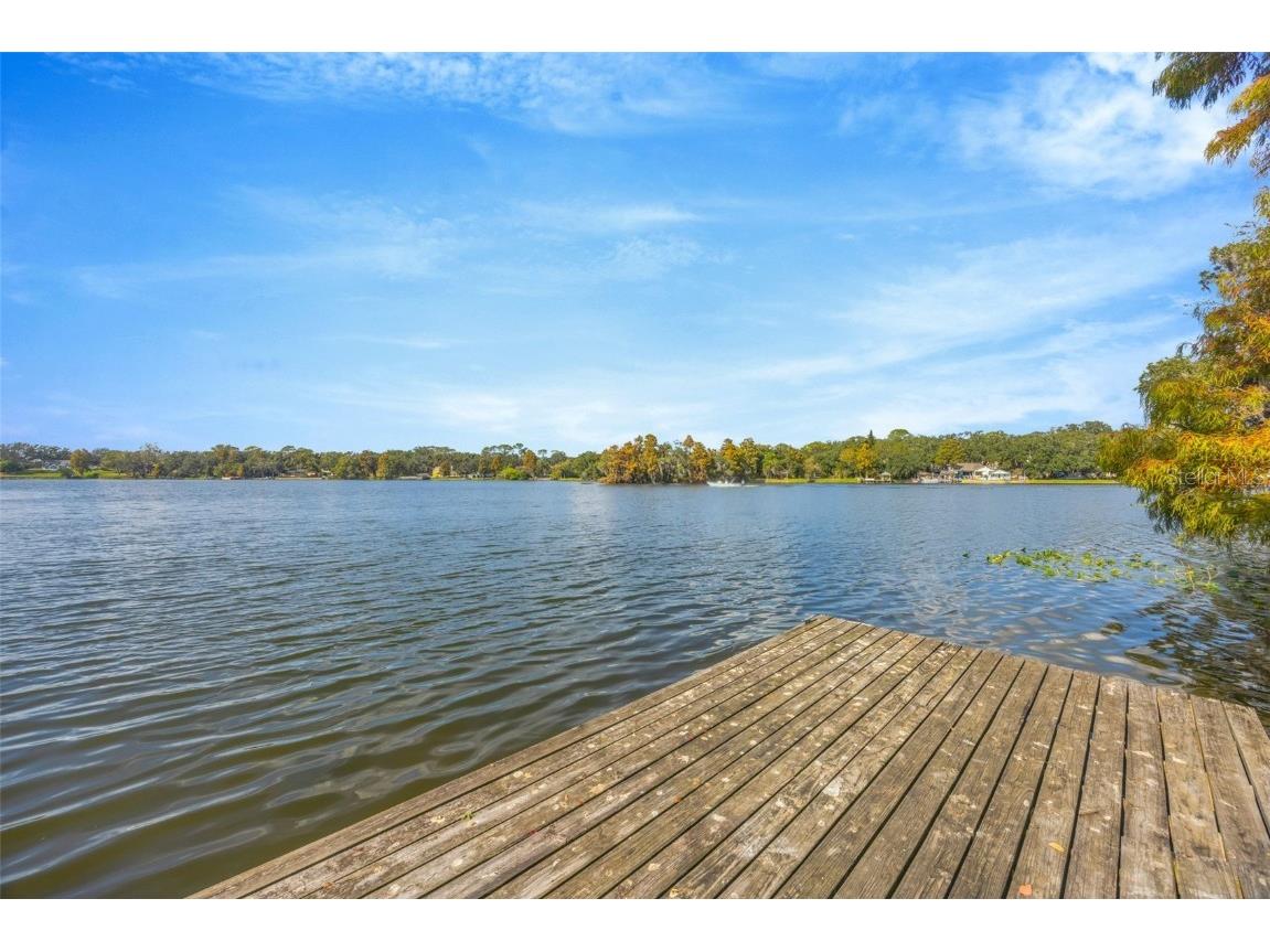 5155 Puritan Circle #1021 Tampa FL 33617 TB8452304 image44