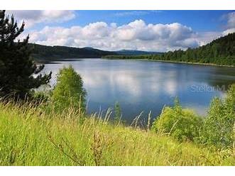 5155 State Road 11 De Leon Springs FL 32130 - LAKE DIAS V4943162 image5