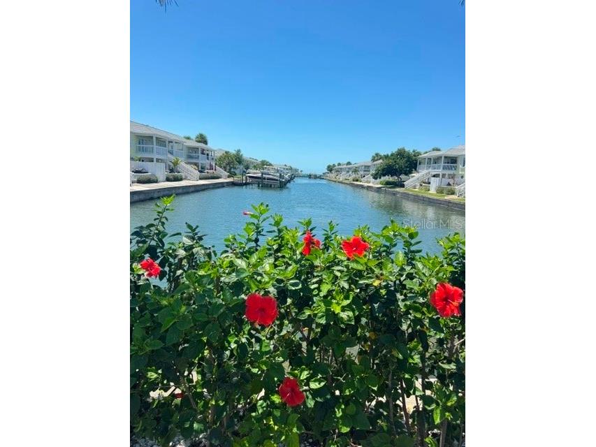 5156 Beach Drive SE #C Saint Petersburg FL 33705 TB8506471 image24