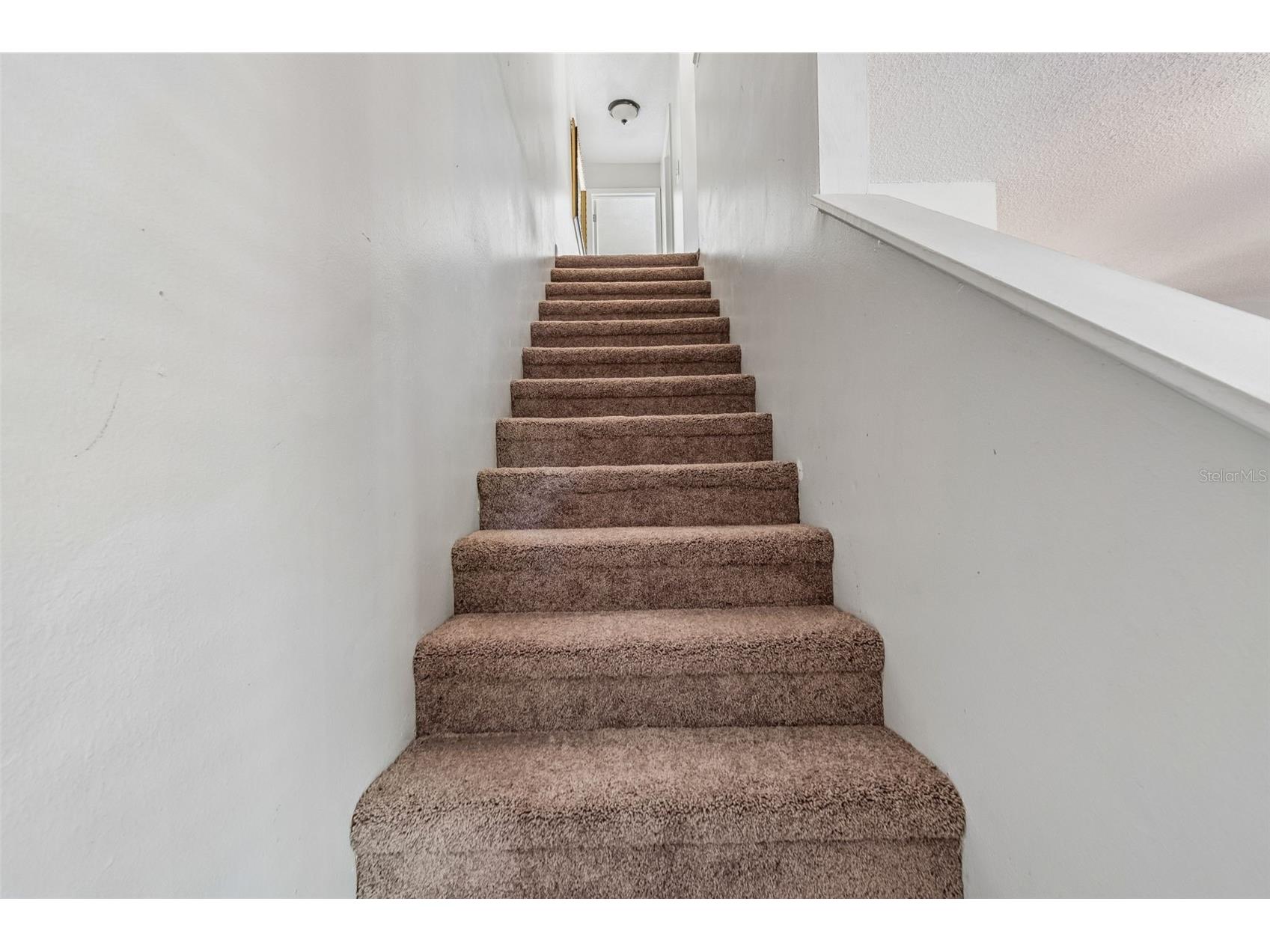 5156 Sunridge Palms Drive Tampa FL 33617 TB8500526 image24
