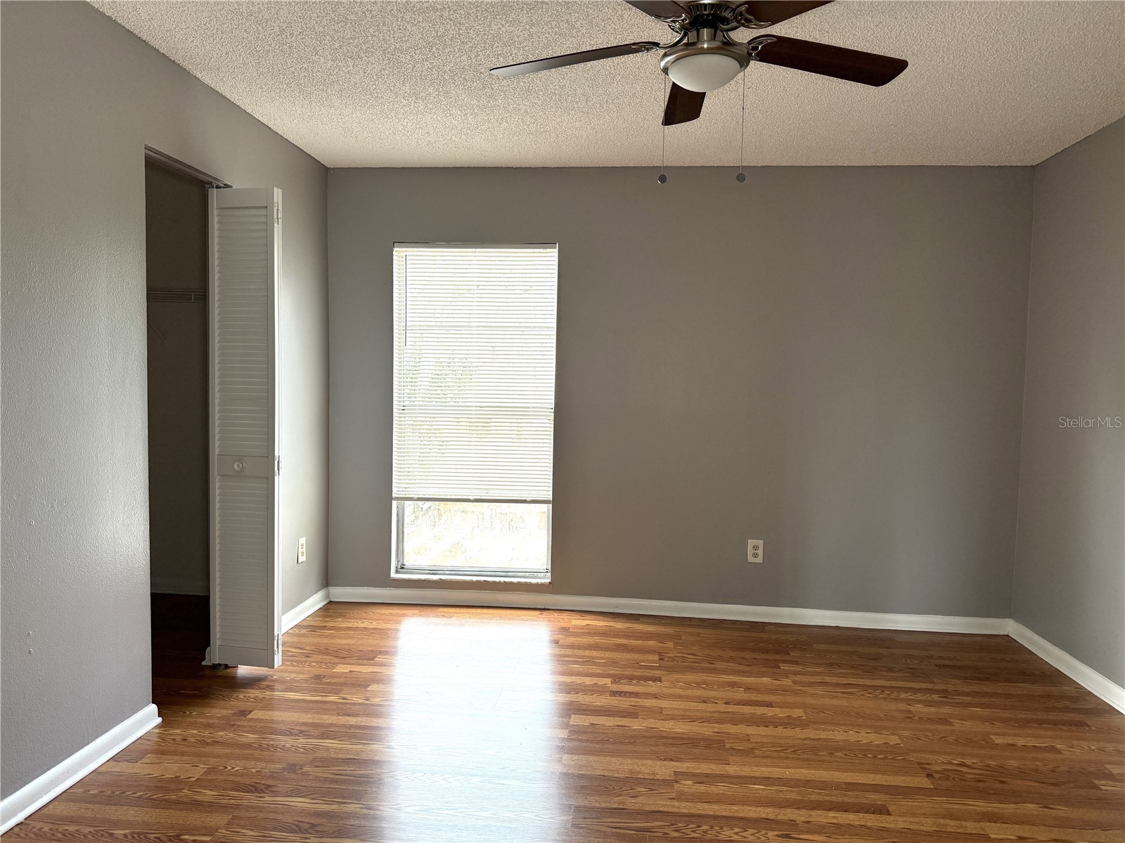 5156 Tennis Court Circle Tampa FL 33617 TB8491809 image20