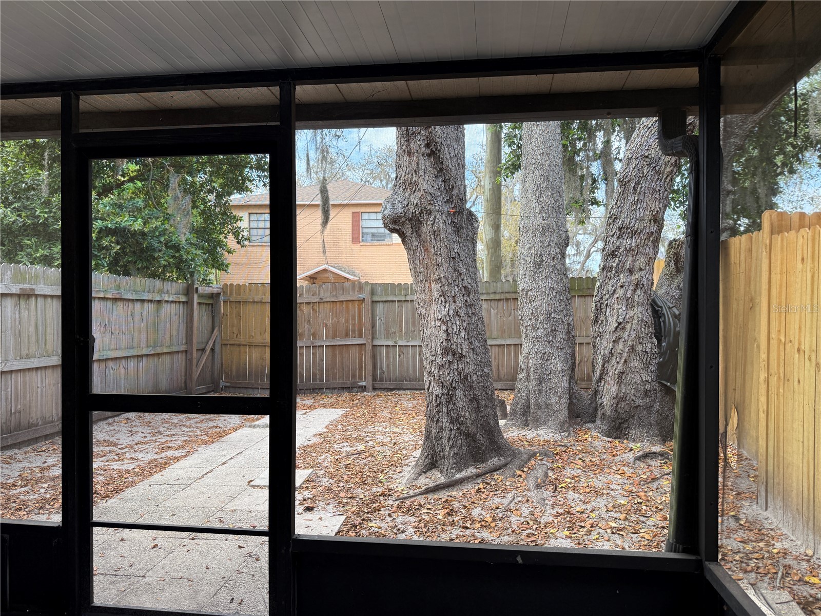 5156 Tennis Court Circle Tampa FL 33617 TB8491809 image27