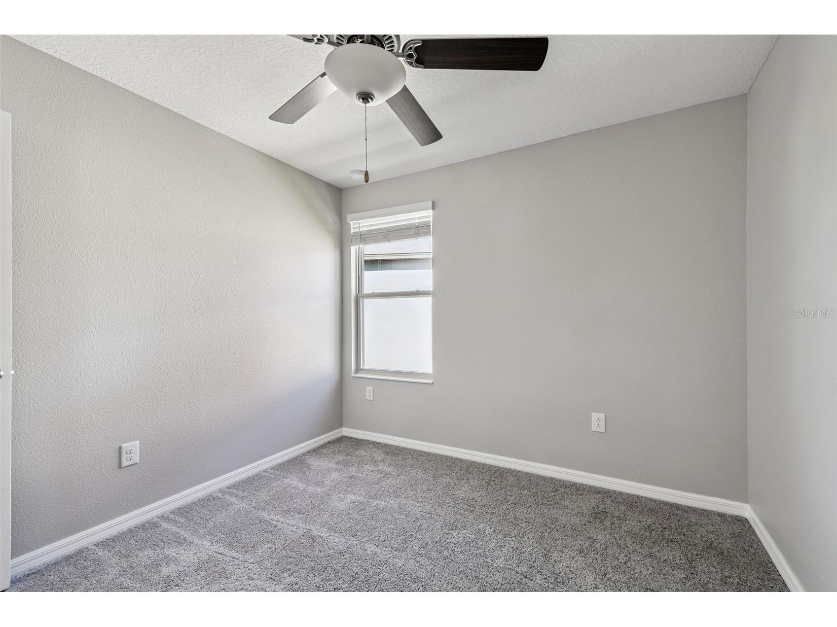 5157 White Chicory Drive Apollo Beach FL 33572 TB8459303 image28